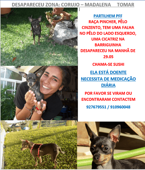 Apelo apelo 664 1821643248259563520 n