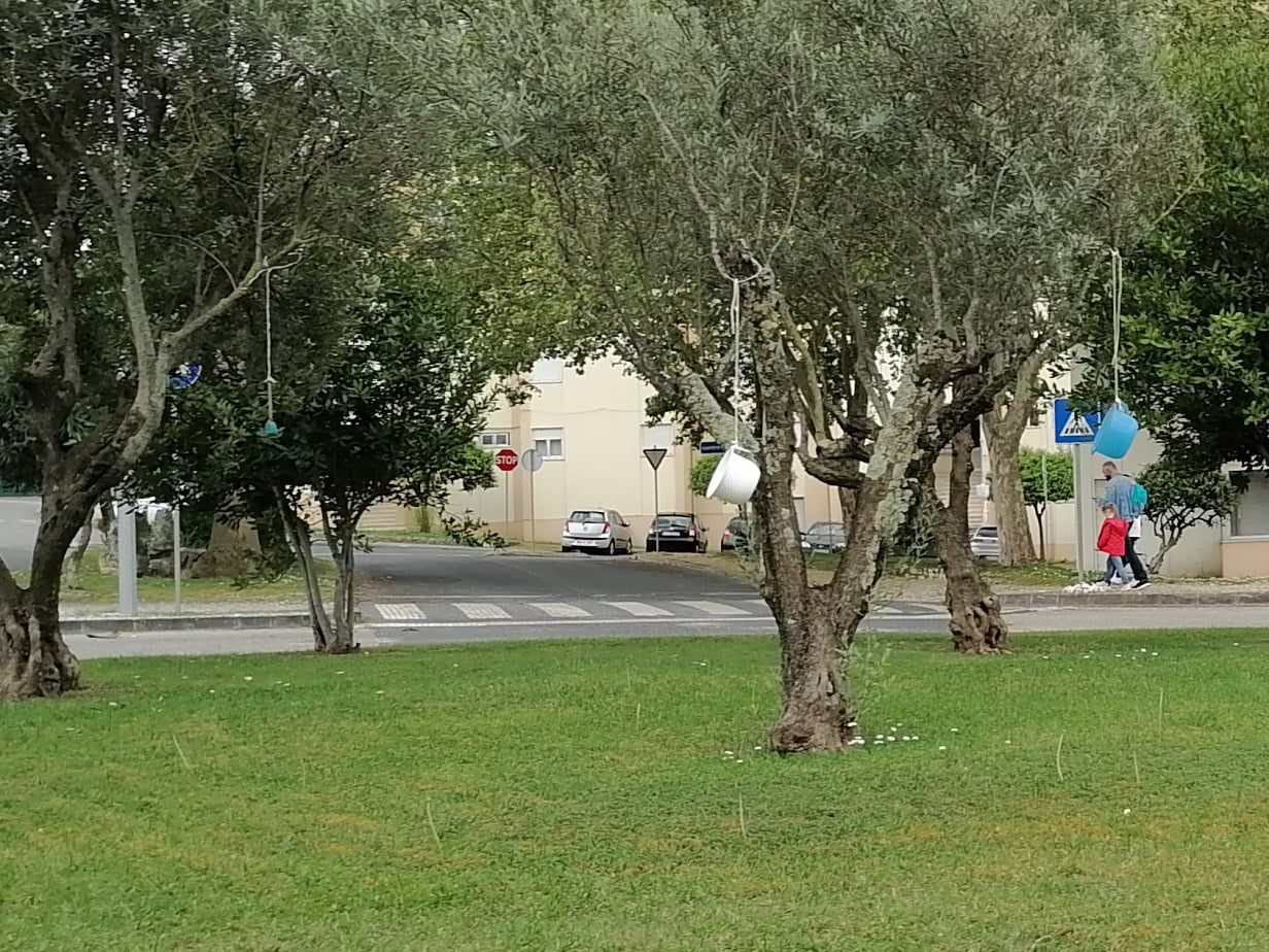 IMG 20210402 152338