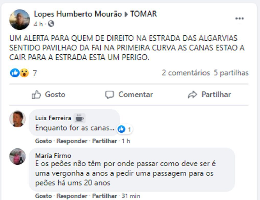 Canas e erva invadem estrada das Algarvias (c/ vídeos) estr