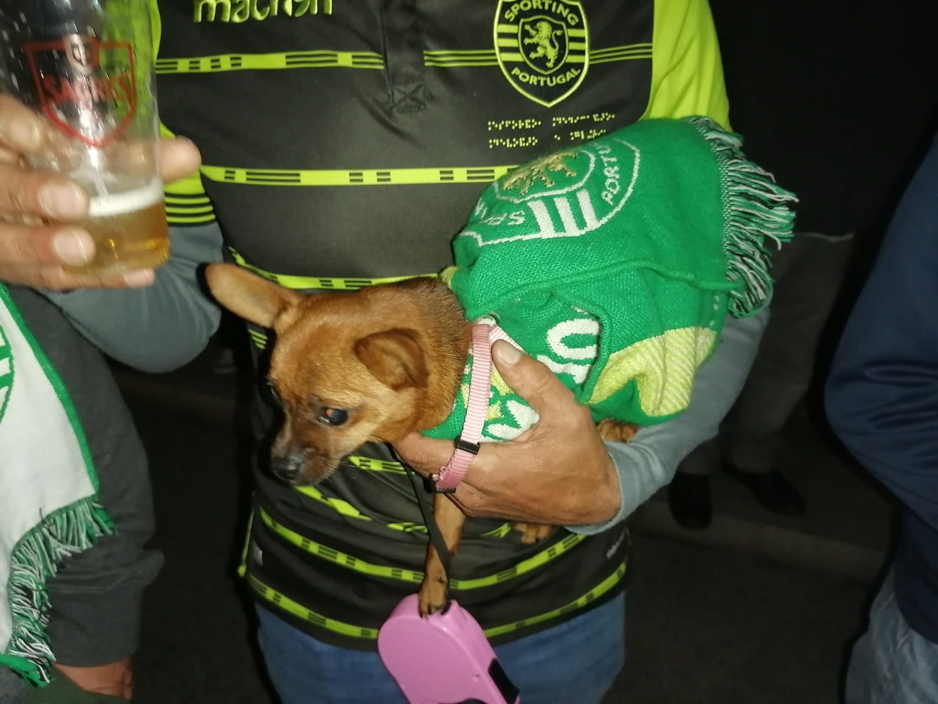 Sporting: mais fotos e vídeos da festa do título IMG 20210511 230252