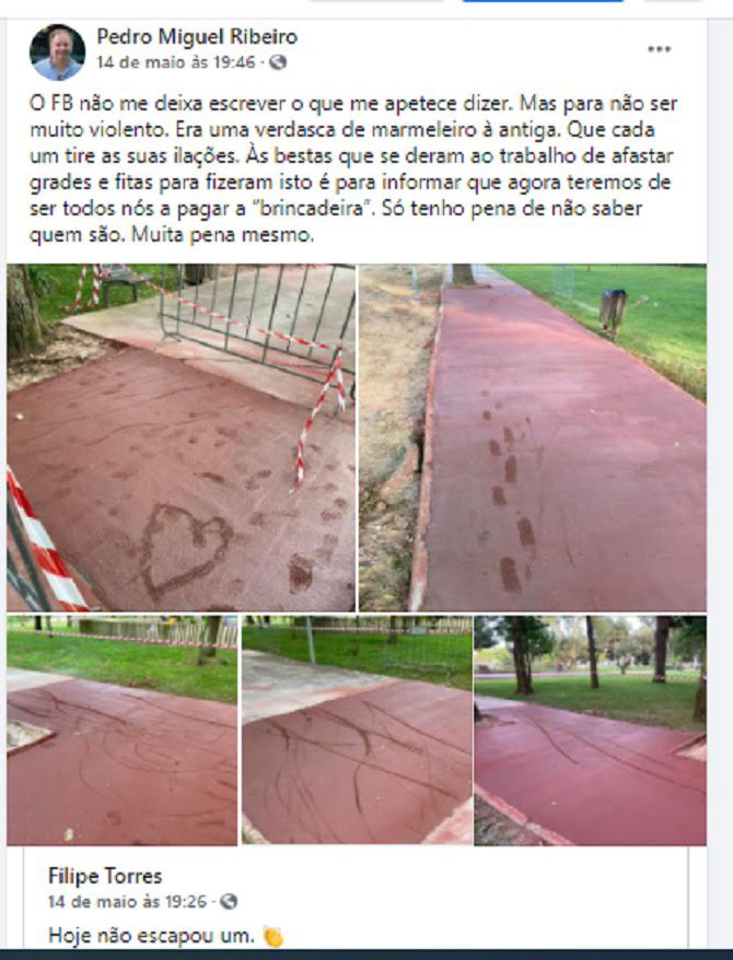 Almeirim: presidente da câmara ameaça vândalos com “verdasca de marmeleiro” almeirim
