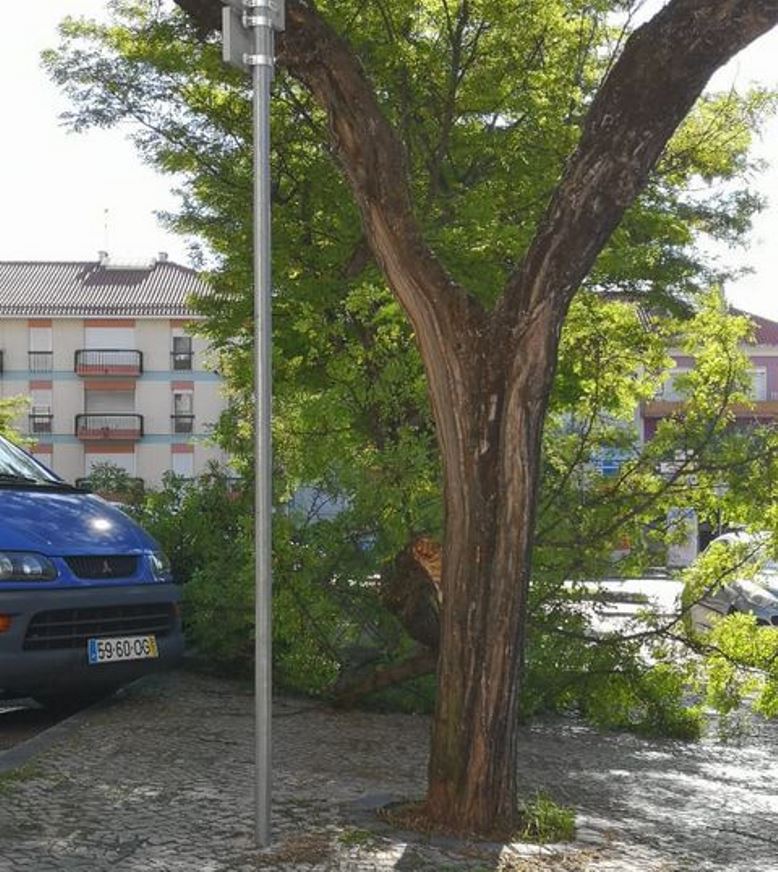 Ramo de árvore cai em parque de estacionamento arvore 66941711854 11348823308116749 n