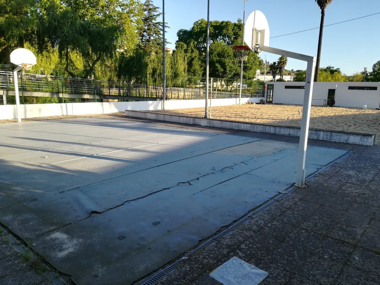 basket IMG 20210507 072708