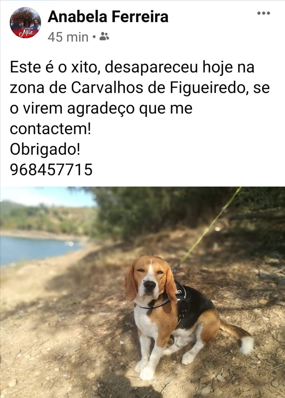 Apelo (Atualização)*
