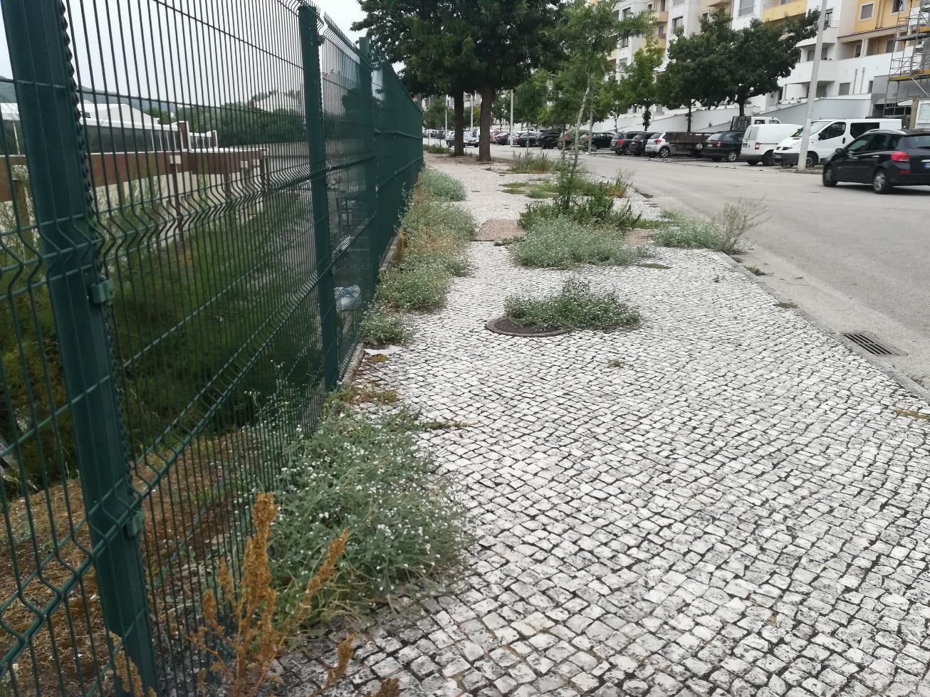 Ervas e mais ervas na rua Diogo de Arruda ervas IMG 20210916 081828