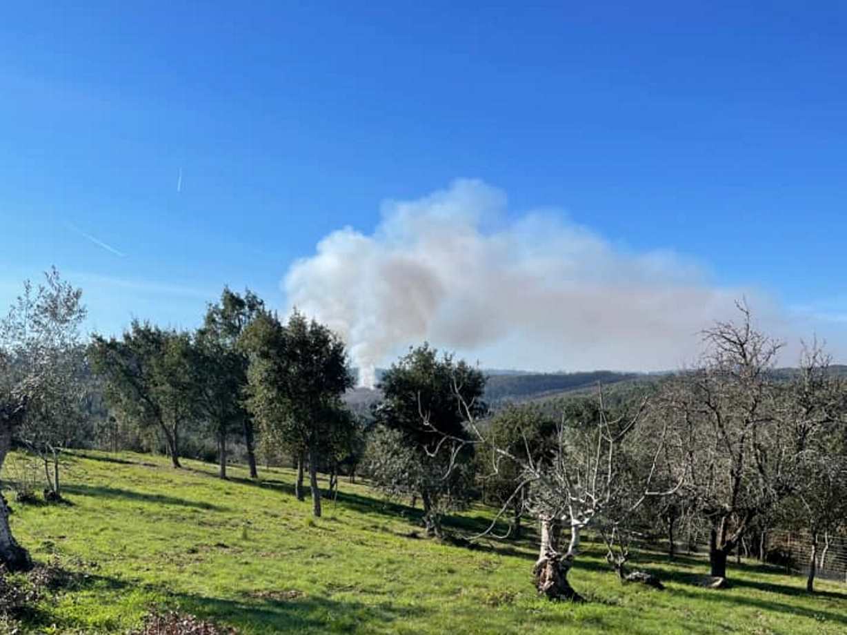 Queimada confundida com incêndio (c/ vídeo) queimada 552443 5030332675104615811 n