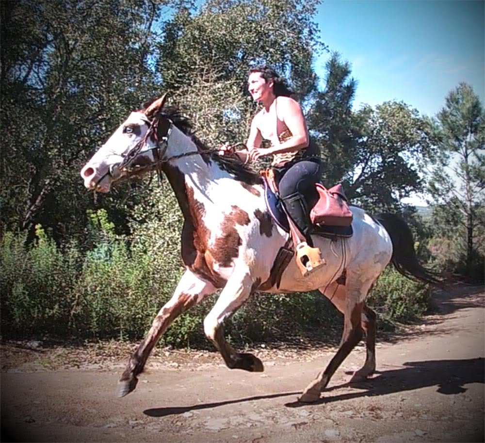 Égua de Laurene Guillot aparece morta por disparo de arma de fogo cavalo 50088468321 7947026528469196276 n