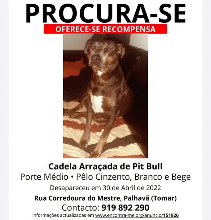 Apelo (Atualização)* apelo 640614129 8365033825715752478 n