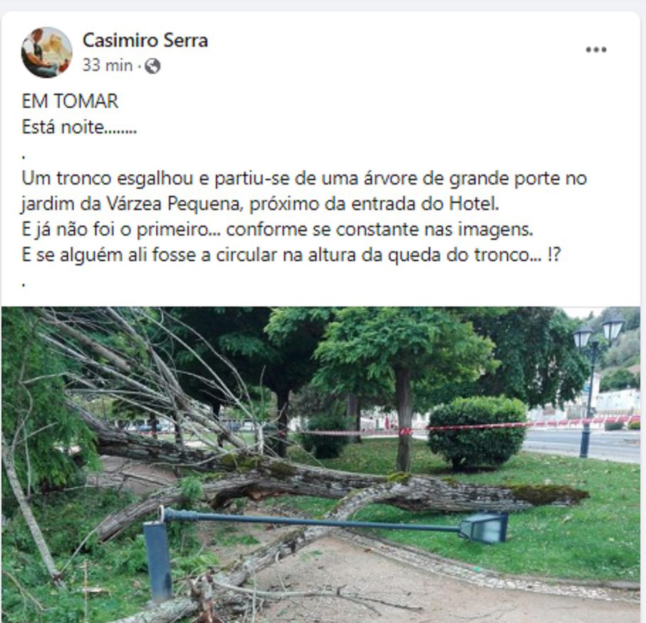 Grande ramo de árvore cai no jardim da Várzea Pequena arvore 4578