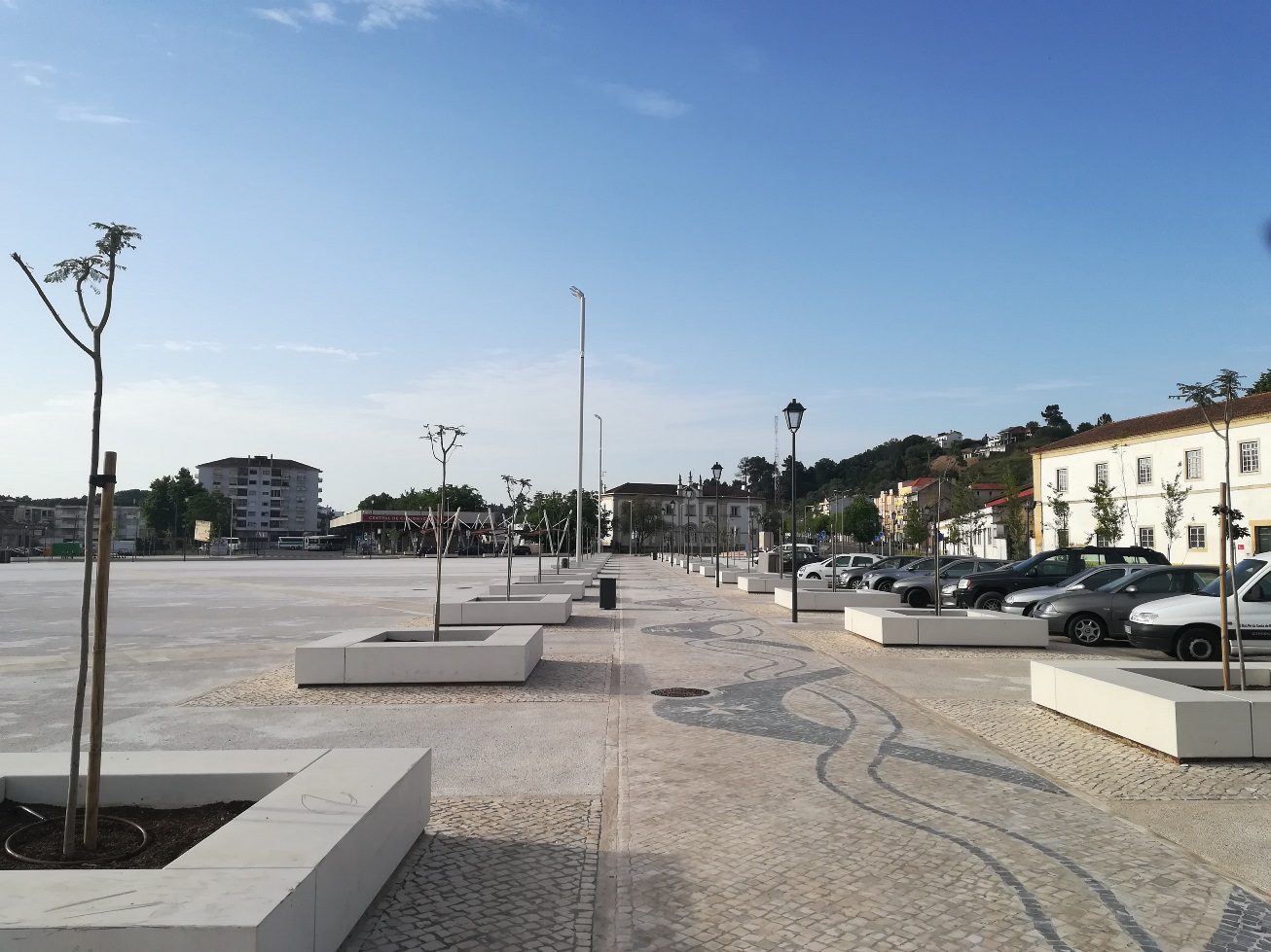 Várzea Grande já tem novas árvores varzea grande IMG 20220514 080443