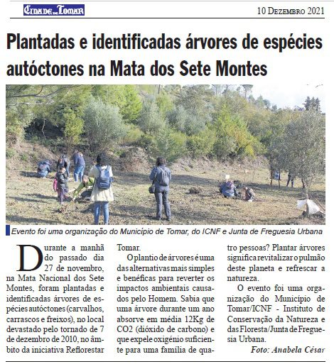 Mata dos Sete Montes: dezenas de árvores morrem por falta de rega (c/ fotos e vídeo) arvores mata