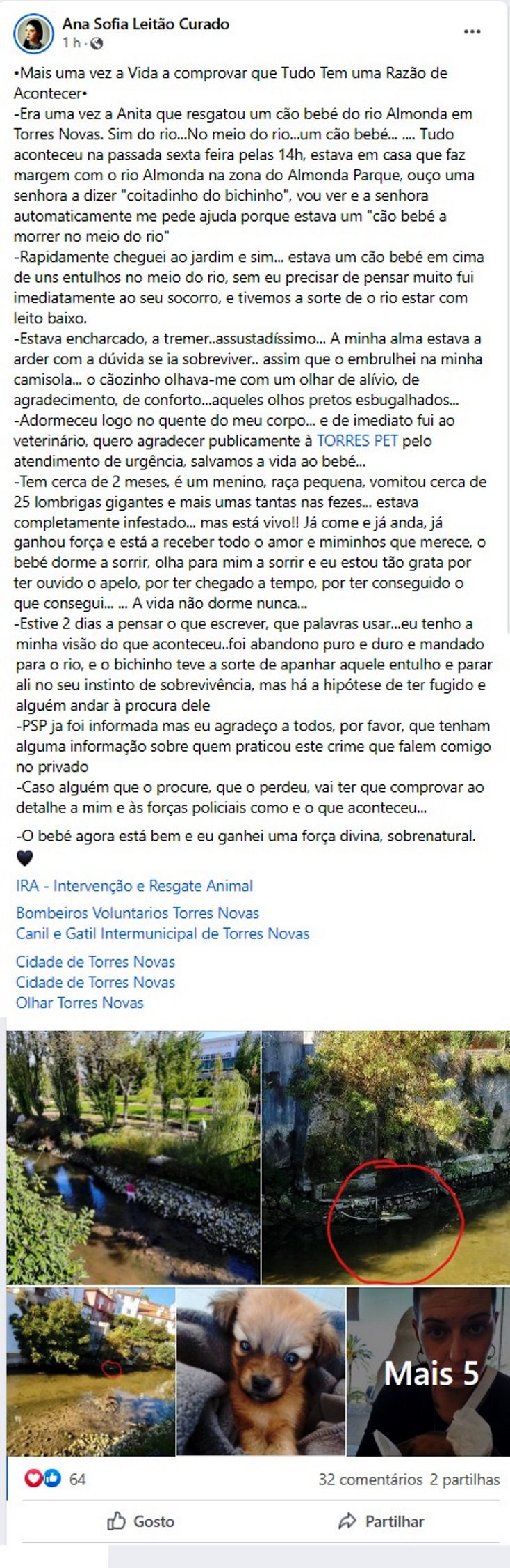 Mulher resgata cachorro do rio Almonda cao 2
