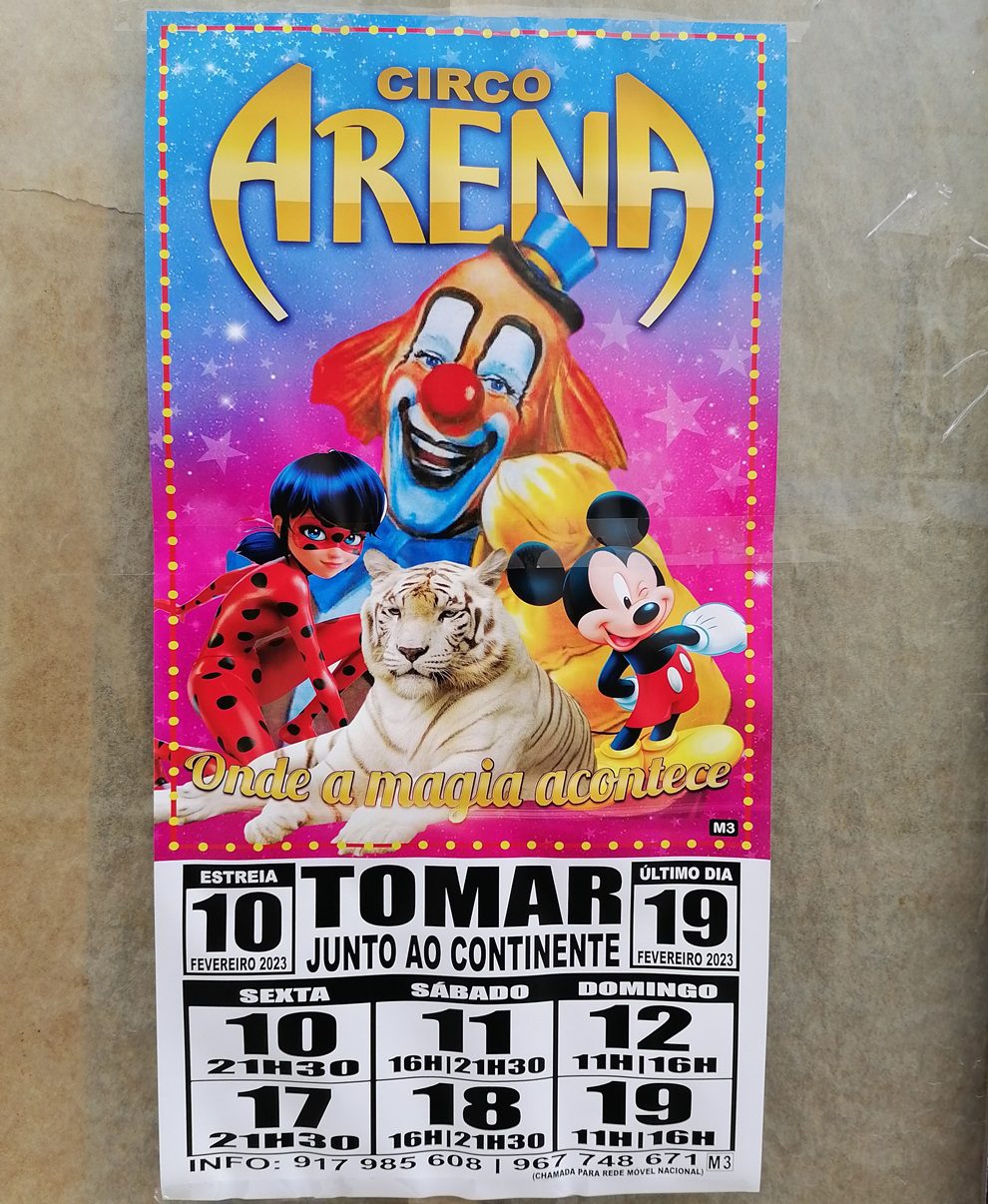 O circo chegou à cidade IMG 20230208 132552