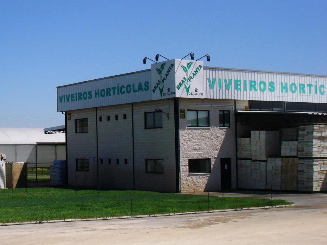Santarém: viveiro de plantas em leilão leil 01353199 6789313679070239864 n