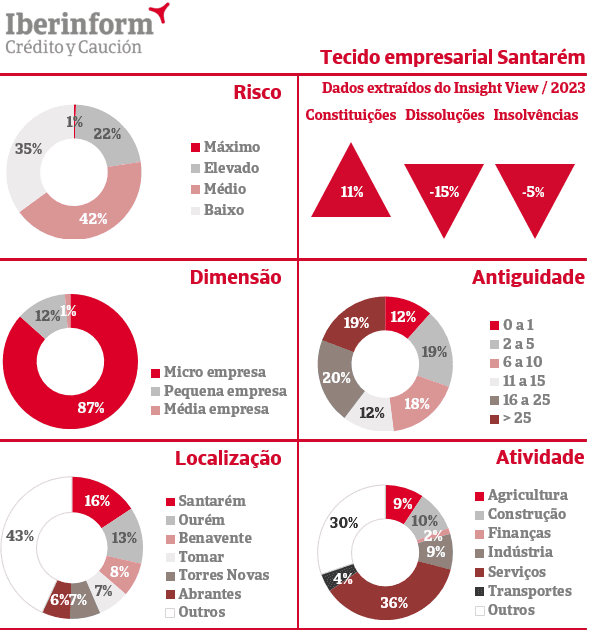 No tecido empresarial do distrito 87% são microempresas pme Grafico Santarem