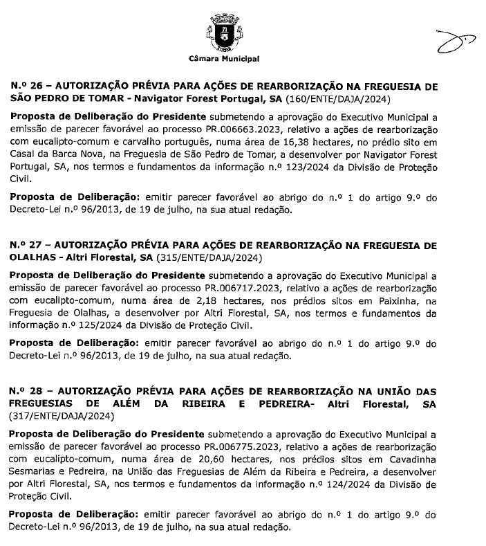 Câmara aprova quase 40 hectares de eucaliptos eucaliptos 7890