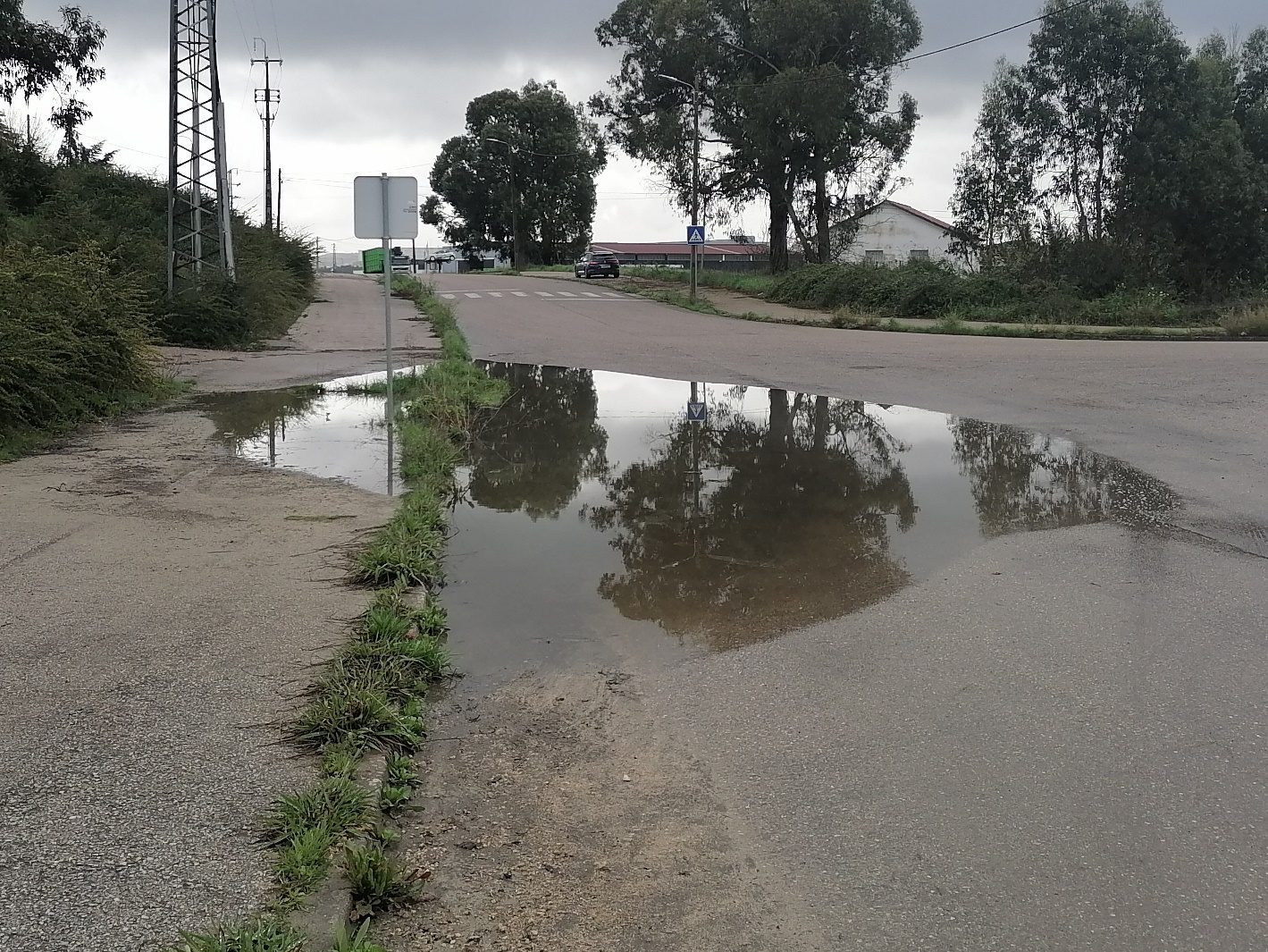 Uma “piscina” com pato na zona industrial de Tomar piscina zona industrial IMG 20240304 102549