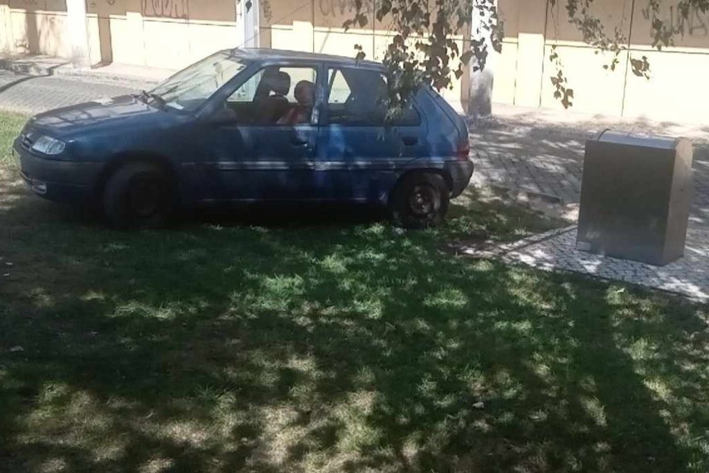 Estacionar em cima da relva estac cdc 4aad a5b5 561c37f58b4b