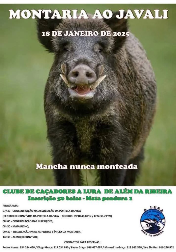 Moradores assustados com montaria aos javalis 18 1 47 8952465404829667 429921898489233392 n