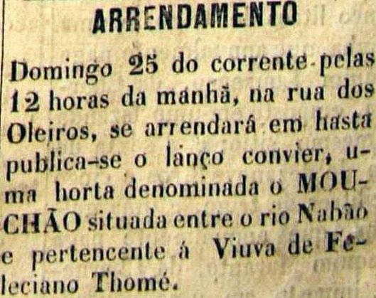 Câmara de Tomar comprou o Mouchão há 100 anos Mouchao Arrenda se o Mouchao maio de 1879 a emancipacao