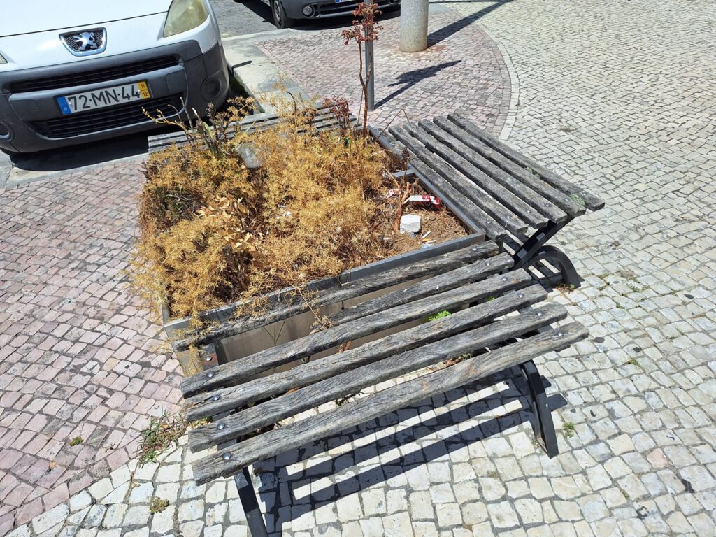 Canteiros renovados na alameda Um de Março 20250708 134754