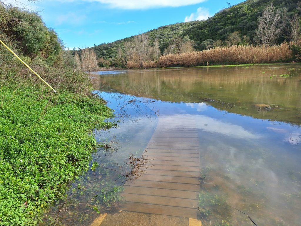 Passadiço da ecovia do Prado ficou debaixo de água cheias 2026 20260206 103327