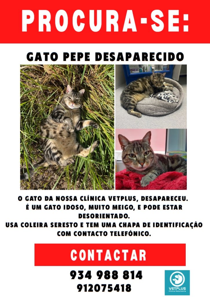 Apelo: alguém viu o Pepe? (Atualização)* apelo 7890