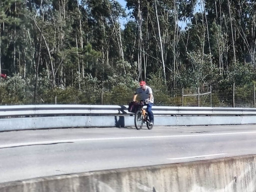 Ciclista visto na A13 entre o IC9 e Ferreira do Zêzere mobilizou Ascendi e GNR ciclista A13 e 2026 05 14 at 17.09.11