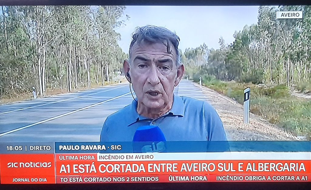Opinião: Incêndios e linhas de contenção ARVORES A BEIRA DA ESTRADA