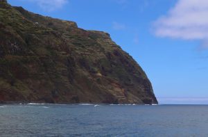 Lisboa, Porto e Madeira: um roteiro para quem viaja e gosta de boa companhia madeira coast