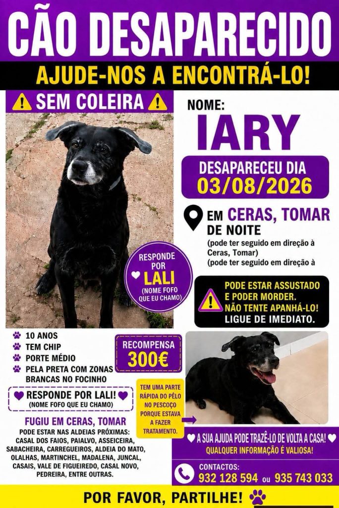 Apelo: cão desapareceu apelo 06395175552989 551739010086987225 n