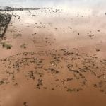 Tragédia em Moçambique: o depoimento de um tomarense (c/ fotos e vídeos) IMG 20190321 WA0022