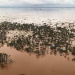 Tragédia em Moçambique: o depoimento de um tomarense (c/ fotos e vídeos) IMG 20190321 WA0023