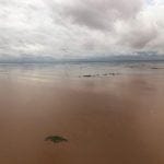 Tragédia em Moçambique: o depoimento de um tomarense (c/ fotos e vídeos) IMG 20190321 WA0026