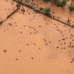 Tragédia em Moçambique: o depoimento de um tomarense (c/ fotos e vídeos) IMG 20190321 WA0028