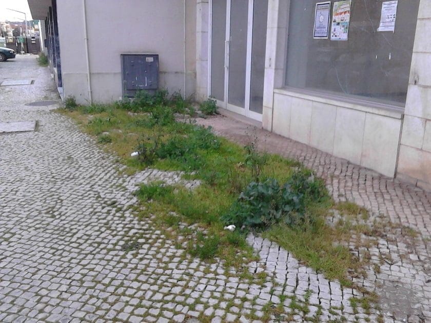 Av. Nuno Álvares Pereira desprezada IMG 20190310 071822