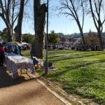 Enchente no mercado Tomar Alternativo (c/ fotos e vídeo) IMG 20190310 155053