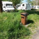 Ervas tomam conta do antigo parque de campismo erva 483583 9013934437770985472 n