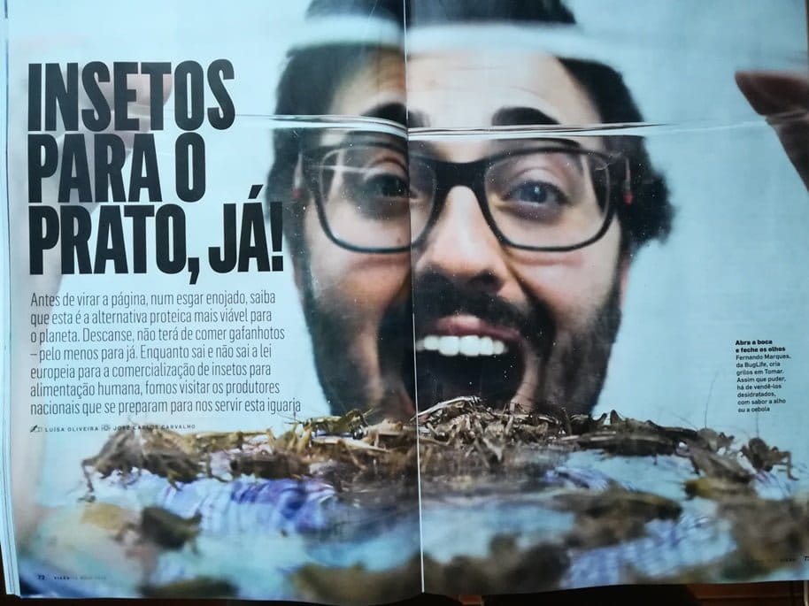 Há quem se dedique a criar grilos para alimentação em Tomar IMG 20190516 201228