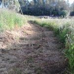 Ecovia do Prado avança em passo lento IMG 20190518 074852