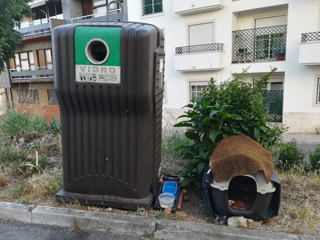 O vidrão e o cão IMG 20190531 191318