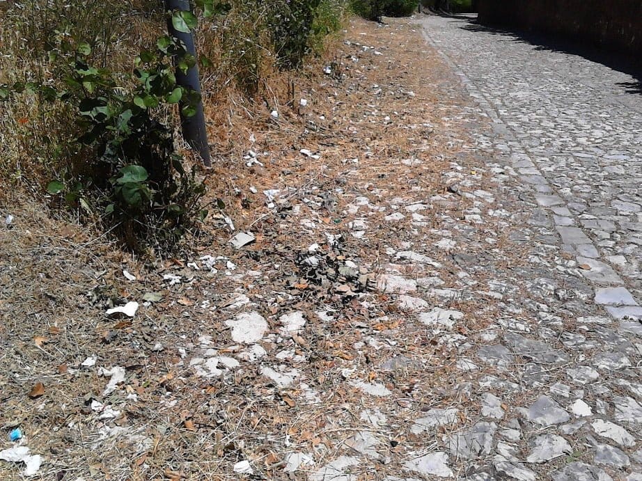 Lixo acumula-se junto ao Convento de Cristo (c/ vídeo) IMG 20190602 123609