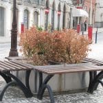 A festa, o protagonismo e o essencial ervas IMG 2819