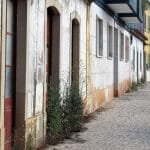 A festa, o protagonismo e o essencial ervas IMG 2825