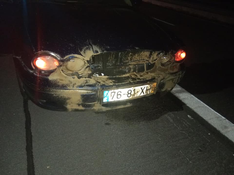 Automóvel colide com javali na A13 javali 6 917024523272847360 n