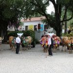 IMG 0079