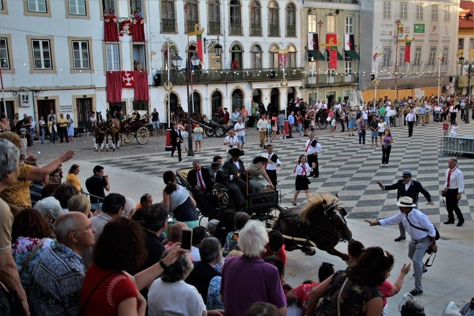 Cavalo caiu durante cortejo do Mordomo (c/ vídeo) cavalo queda carlos silva 165184283344896 n