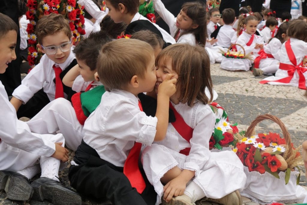 tabuleiros apanhados 99717832871903232 o