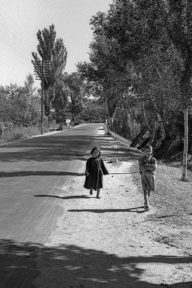Quem serão estas crianças? Criancas Perto de Tomar 1957Fotografo Diogo Margarido