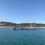 Mais de 200 escuteiros em jangadas improvisadas no rio Zêzere IMG 3898